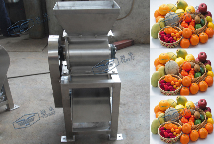 Industrial Juice Processing Equipment Fruit Crusher Machine With