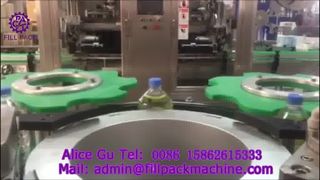 2139 M5 Jamaica Automatic Straight-Line Hot-Melt Adhesive Labelling Machine
