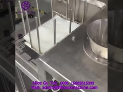 1910 J99 Linear bag feeding liquid filling and sealing packaging machine