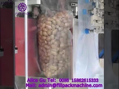 1911 J99 Straight line bag feeding type vacuum granule filling and sealing packaging machine