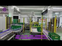 2010 V7 ABB configuration robotic palletizer