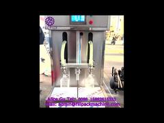 2046 M19 Semi-Automatic Submerged Dual-Head Liquid Weighing Filling Machine
