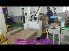 2078 P6 Mechanical Hand Suction Cup Palletizer-2