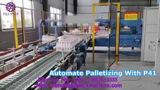 2299 P41 Gantry Palletizer
