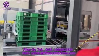 2307 P42 Carton Packing Gantry Palletizing Production Line