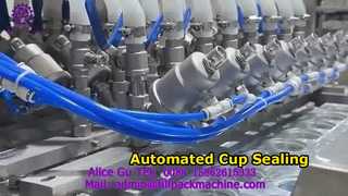 2228 J119 In-Line 8-Station Cup-Type Washing, Filling, and Film Sealing Machine