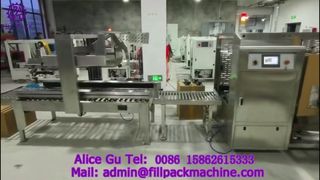 2135 P34 All-Stainless Steel Folding Carton Sealing Machine
