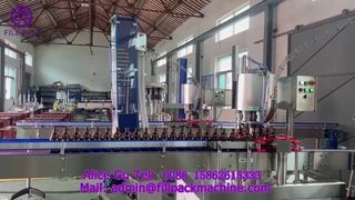 2216 J118 Crown Cap Automatic 6-Head Capping Machine