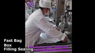 2108 L14 Semi-Automatic Single-Head Bag-in-Box Filling and Sealing Machine