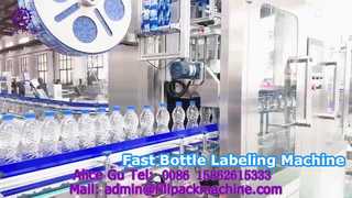 2173 M10 Dual-Head 350 Dual-Material Disc Plastic Bottle Automatic Labelling Machine