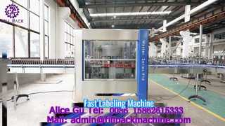 2171 M10 Automatic Rotary 3-Head Self-Adhesive Labelling Machine