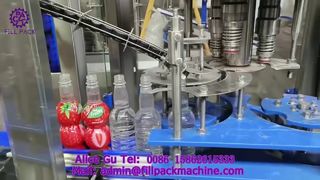 2302 J11 Automatic 3-Head Capping Machine for Plastic Screw Caps