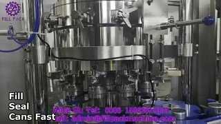 2107 J1 12-1 Can Filling and Sealing Two-in-One Machine