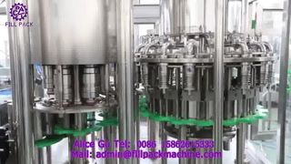2226 J1 Hot-Fill 3-in-1 18-18-6 Rinse-Fill-Seal Machine