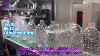 2110 K10 Automatic Single-Station Two-Bottle Blow Molding Machine