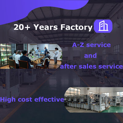 Mineral / Pure Drinking Water Ion Exchanger / Precision / Cartridge Purifying Equipment / Plant / Machine / System